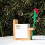 Incineración de mascotas en Guadalajara